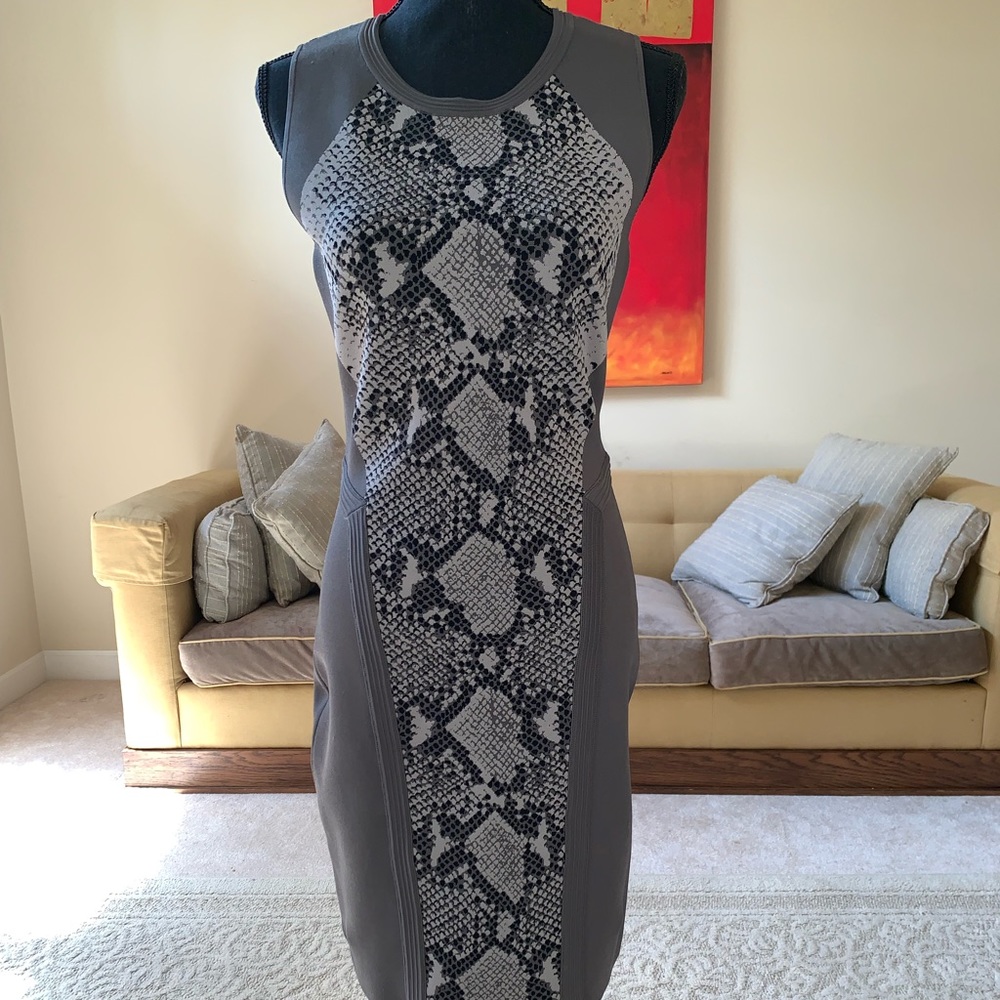 Diane Von Furstenberg Bodycon Dress